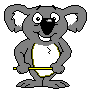 animaux koala 542