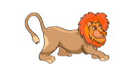 animaux lion 578
