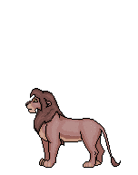 animaux lion 572