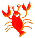 crabe 15