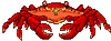 crabe 06