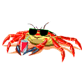 crabe 19