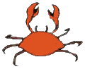 crabe 16