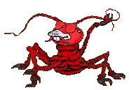 crabe 12