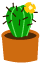 cactus 16