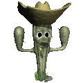 cactus 17