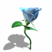 rose 47 bleue