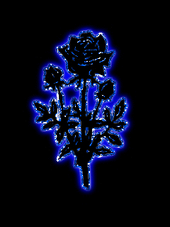 rose 63 bleue