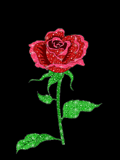 rose 39