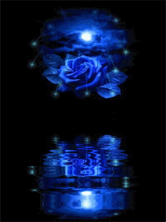 rose 45 bleue