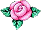 rose 34
