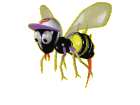 abeilles 74
