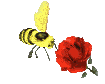 abeilles 75