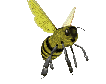abeilles 76