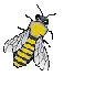 abeilles 62