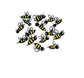 abeilles 42