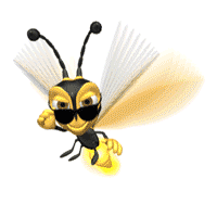 ruche abeilles 05