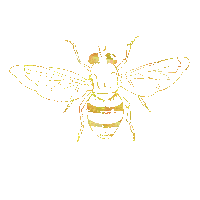 abeilles 65