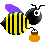 abeilles 64