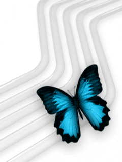 papillons 139