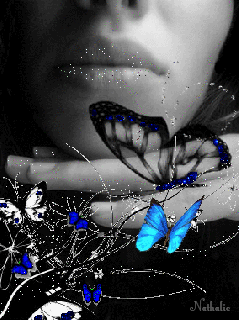 papillons 91