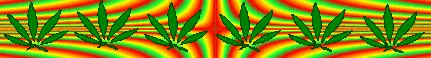 cannabis 9