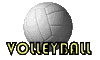 volley ball 05
