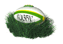 rugby ballon 14
