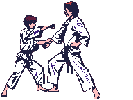 judo 34