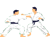 judo 30