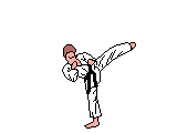 karate 47