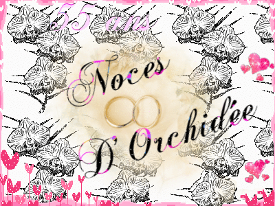 noce orchidee 55 ans