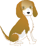 chien beagles 205