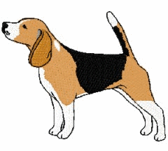 chien beagles 219
