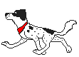chien dalmatien 27