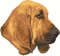 chien bloodhounds 263