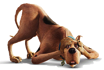 chien bloodhounds 278