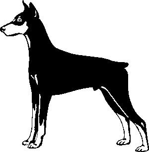 chien dobermann 831