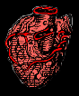 organe coeur qui bat 10