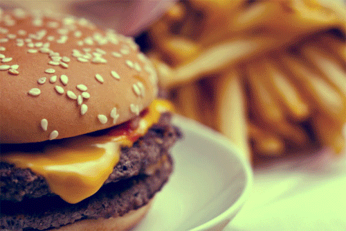 hamburger macdonald s mcdo 05