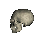 skull and bones tete mort 102