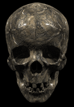 skull and bones tete mort 120