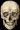 skull and bones tete mort 15