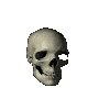 skull and bones tete mort 133