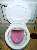 wc humour toilette 17