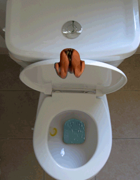 wc humour toilette 16