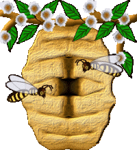 abeilles ruche 02