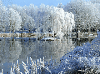 paysage hiver 01