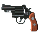 revolver 19