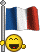 france drapeaux 15